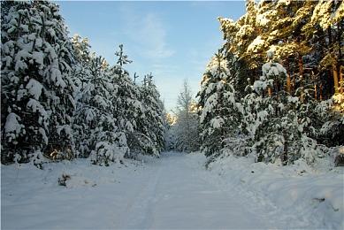 销量速度超两倍！《33号远征队》力压《P5R》等多款经典